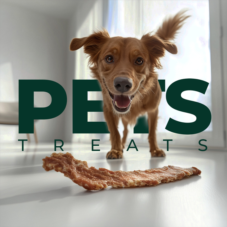 Premium Pet Treats
